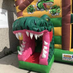 location chateau gonfable Dino - Namur Assesse